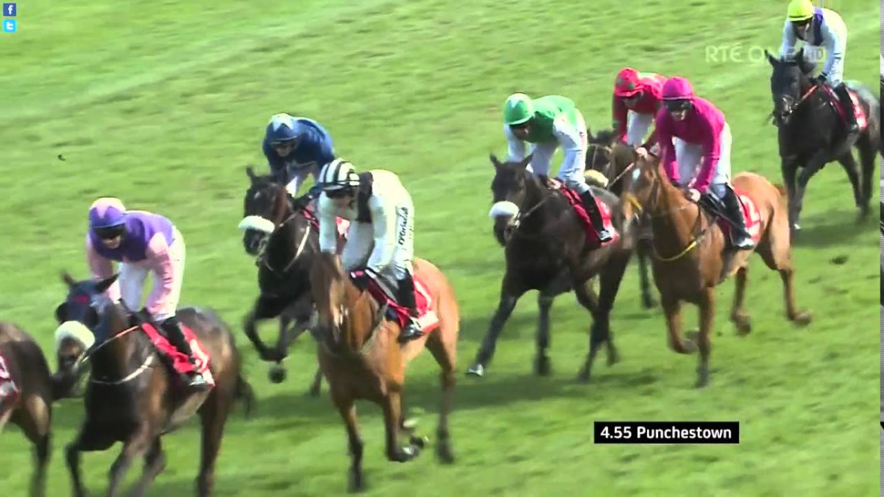 2016 Punchestown Mares Chase
