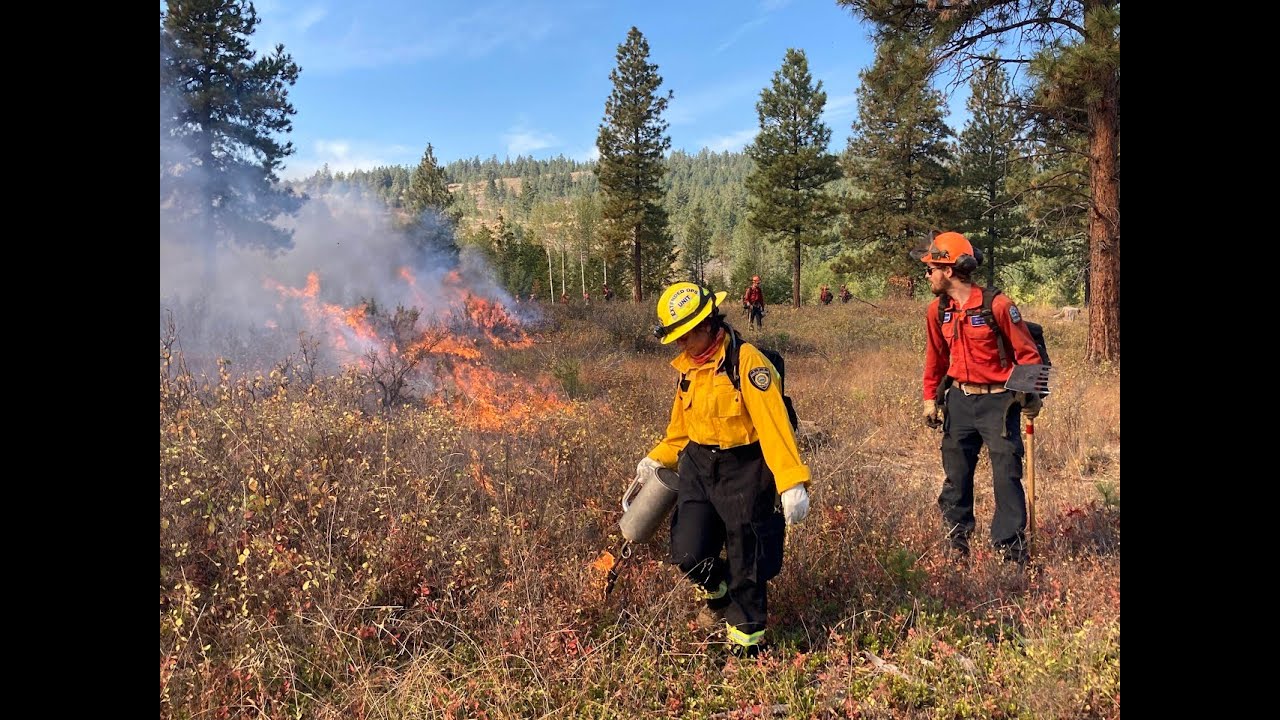 Jen Baron: Re-introducing fire as a process - Restoring disrupted fire regimes across landscapes
