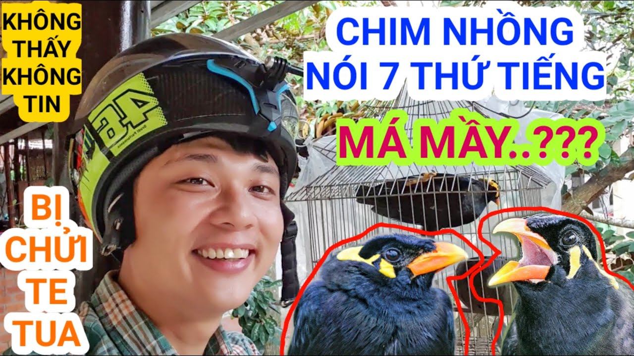 Cuộc khẩu chiến kinh điển với 