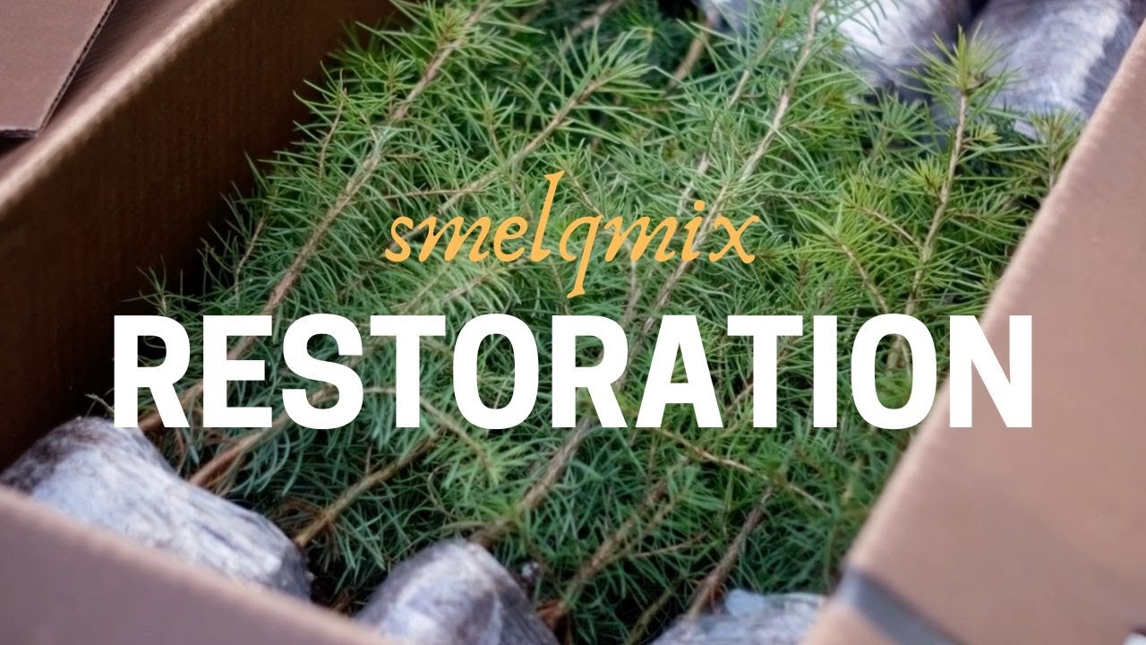 Habitat Restoration: Why Land Management Matters