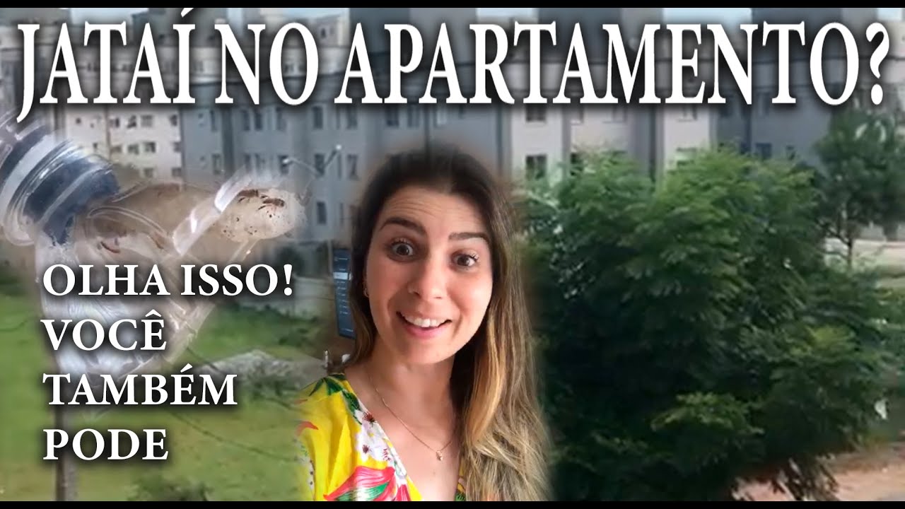 141- COMO ASSIM CRIAR ABELHA JATAÍ NO APARTAMENTO?