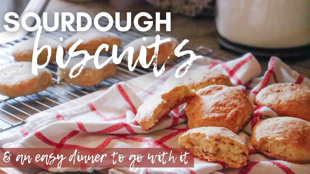 Never Fail Sourdough Biscuits - Beginner Friendly