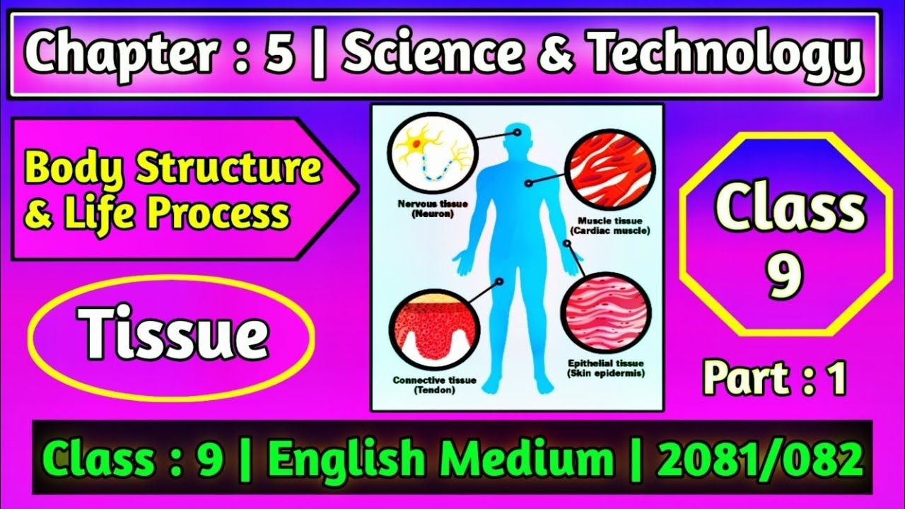 Class 9 Science Chapter 5 Tissue All Exercise In English | Body Structure and Life Process 2082 |