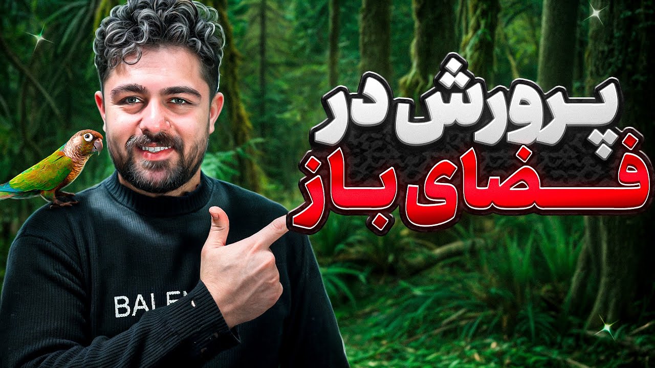 پرورش طوطی در فضای باز یا سالنی ؟ || مقایسه بازدهی