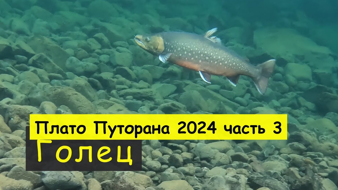 Плато Путорана 2024 часть 3 Голец