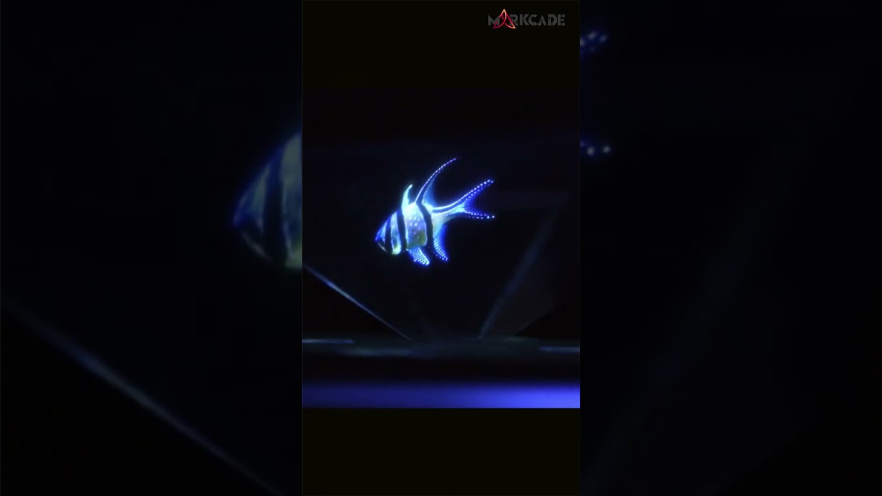 Zoo Frankfurt Turns a Print Ad Into a 3D Mini Aquarium | Markcade