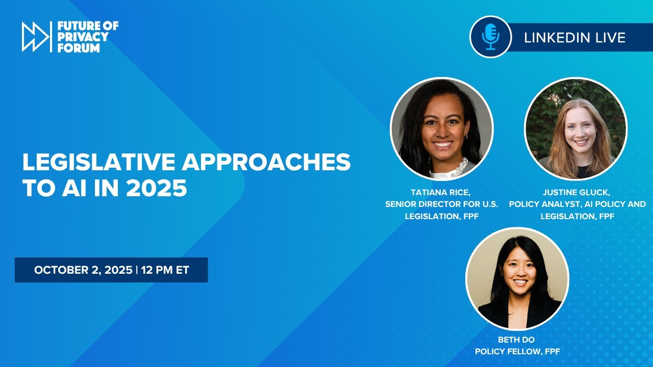 Legislative Approaches to AI in 2025