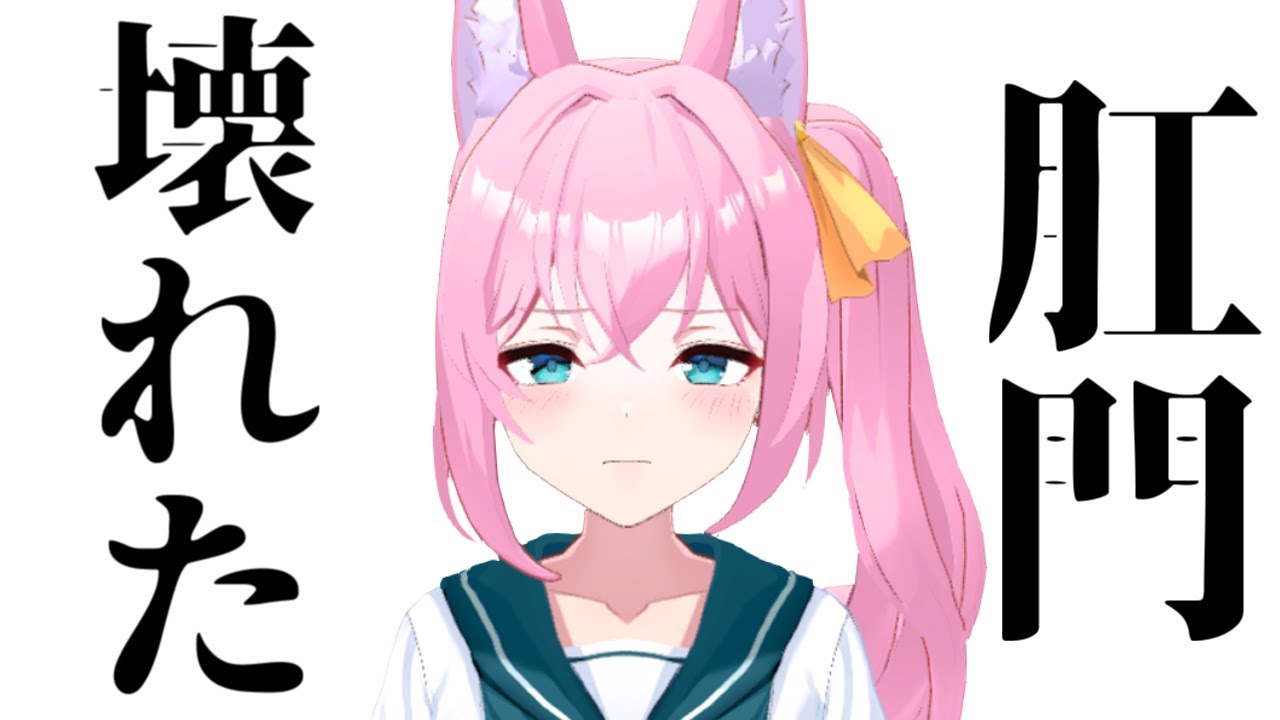 一日中おしりから血が出る恐怖味わったことあんのかよッ！！！！！！！【雑談】