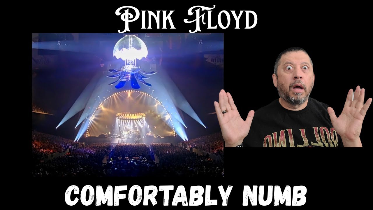 Pink Floyd Reaction Video - Comfortably Numb LIVE | PULSE Tour, London, 1994