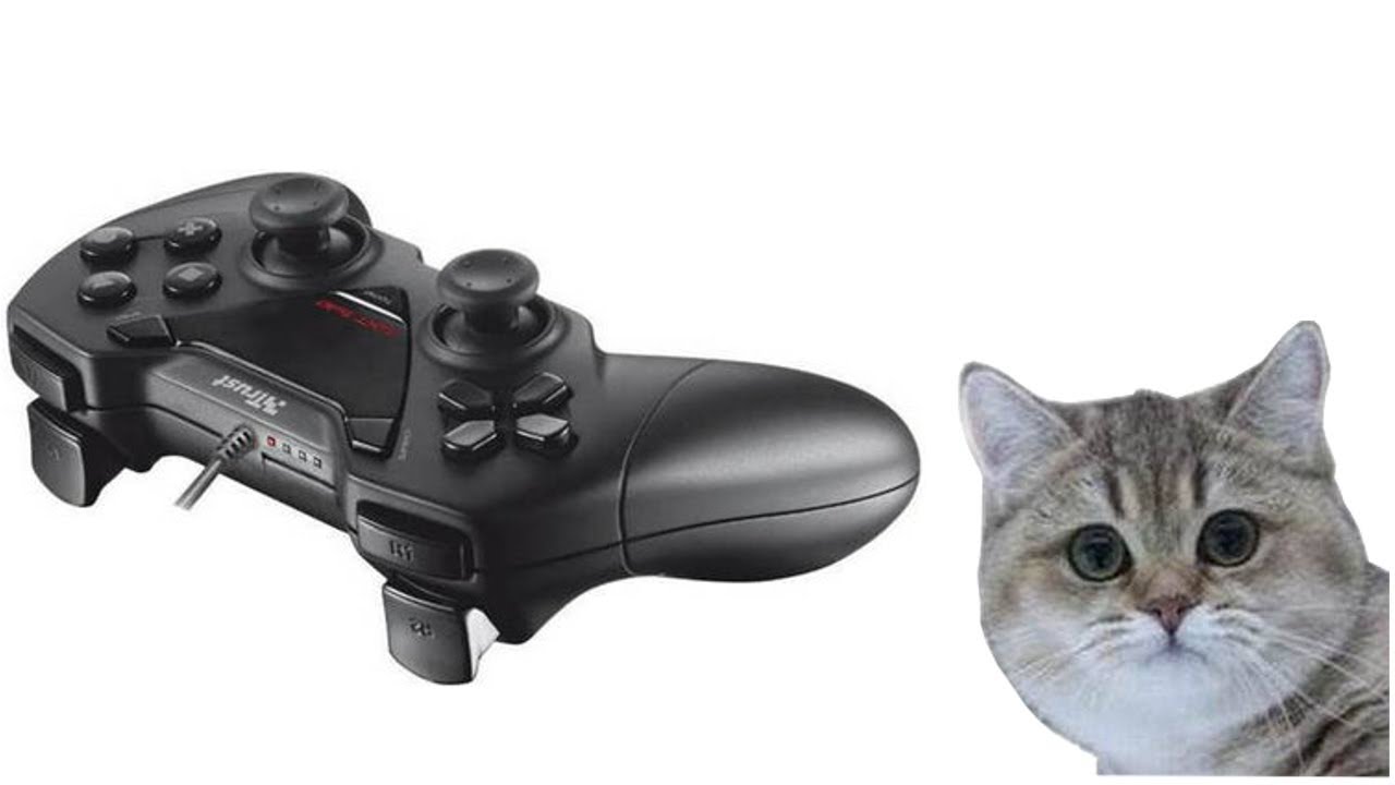 Gamepad Trust GTX 530 - Co w pudełku piszczy ?