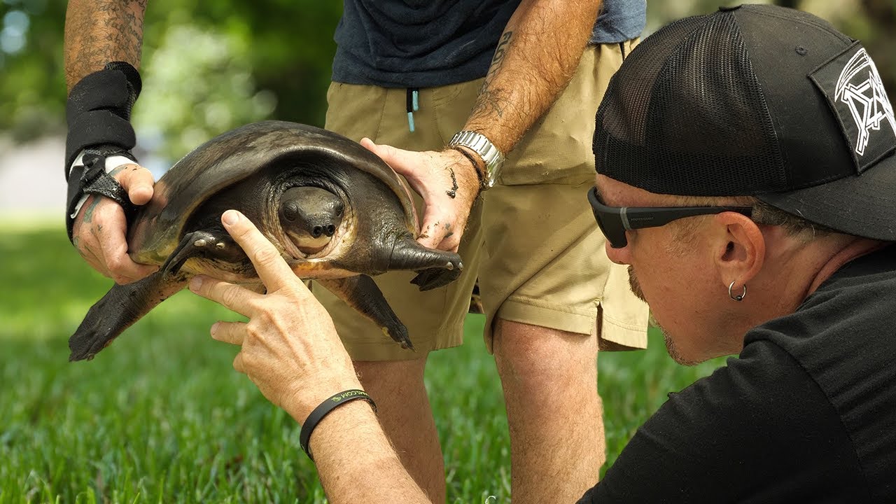 Rarest Reptiles In the World! VIP Tour of Gatorland, and Iguanaland!