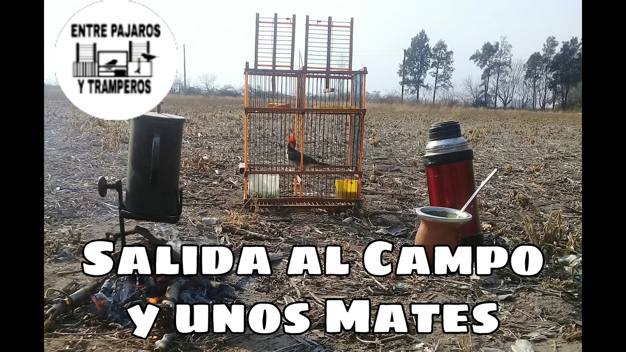 Salida al campo y unos mate