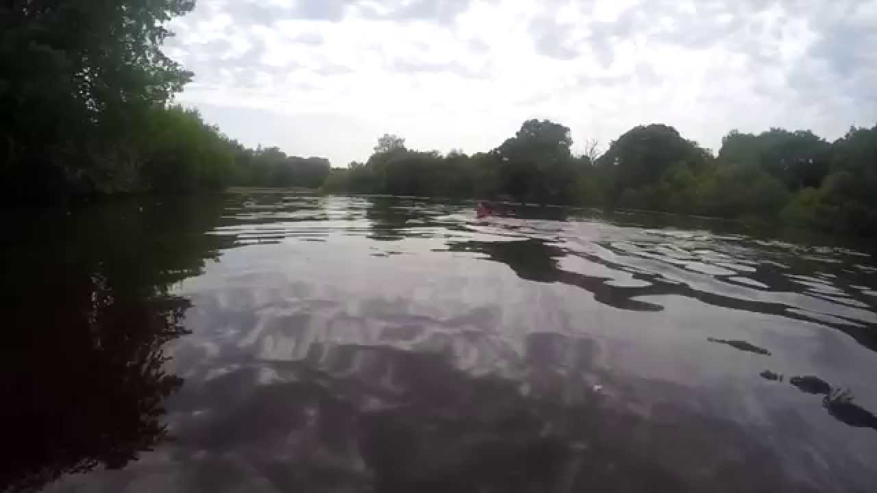 Wild Swim Guide -  Eyeworth Pond, New Forest