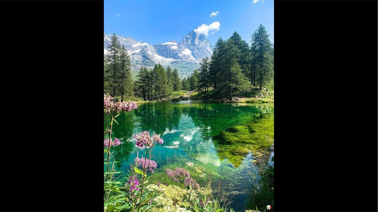 Feliz miércoles para todos mis queridos amigos