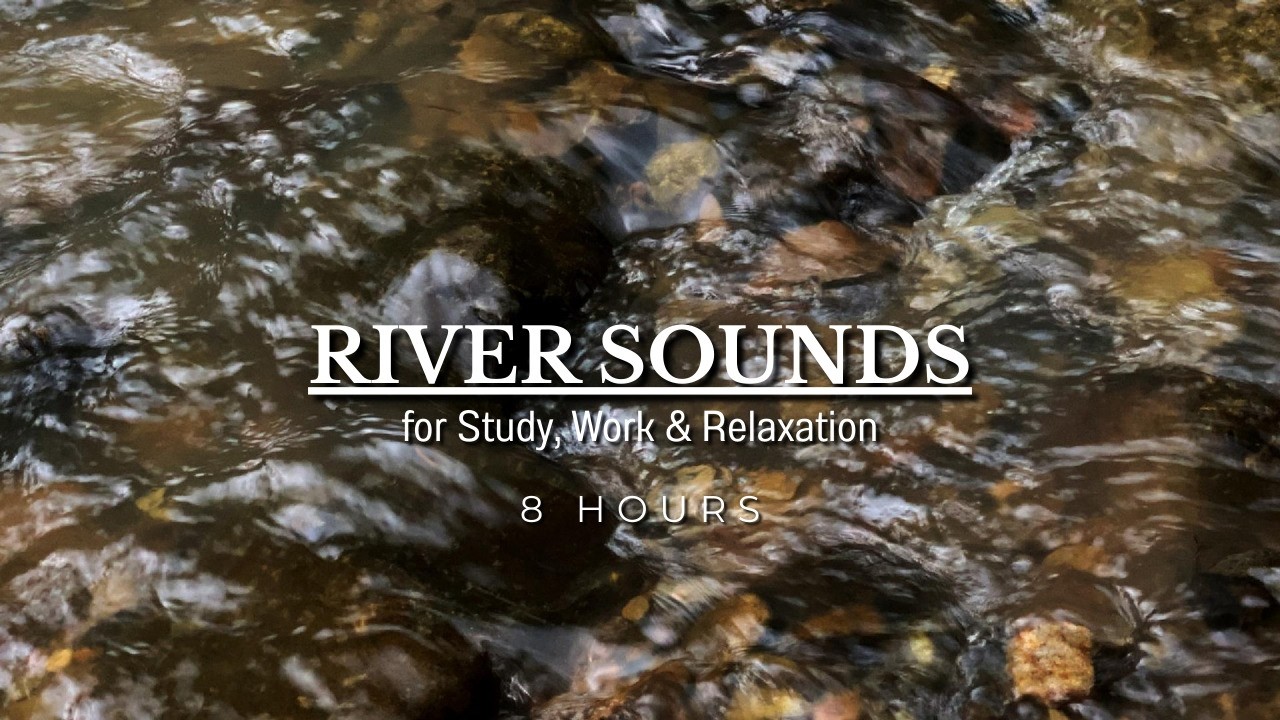 River Sounds with Birds for Sleeping, Gentle Forest Ambience to Help You Relax and Fall Asleep