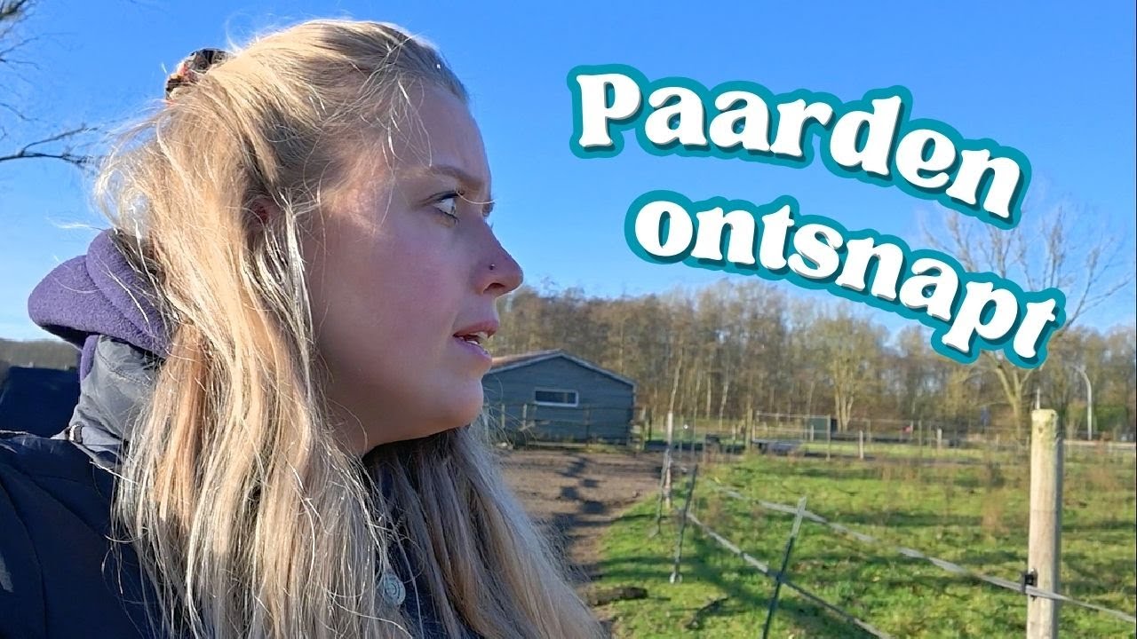 De paarden waren ONTSNAPT + Working Equitation 🎄 Vlogmas