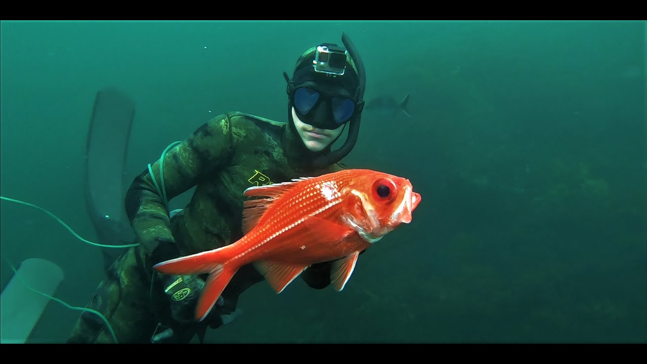 Spearfishing Kangaroo Island