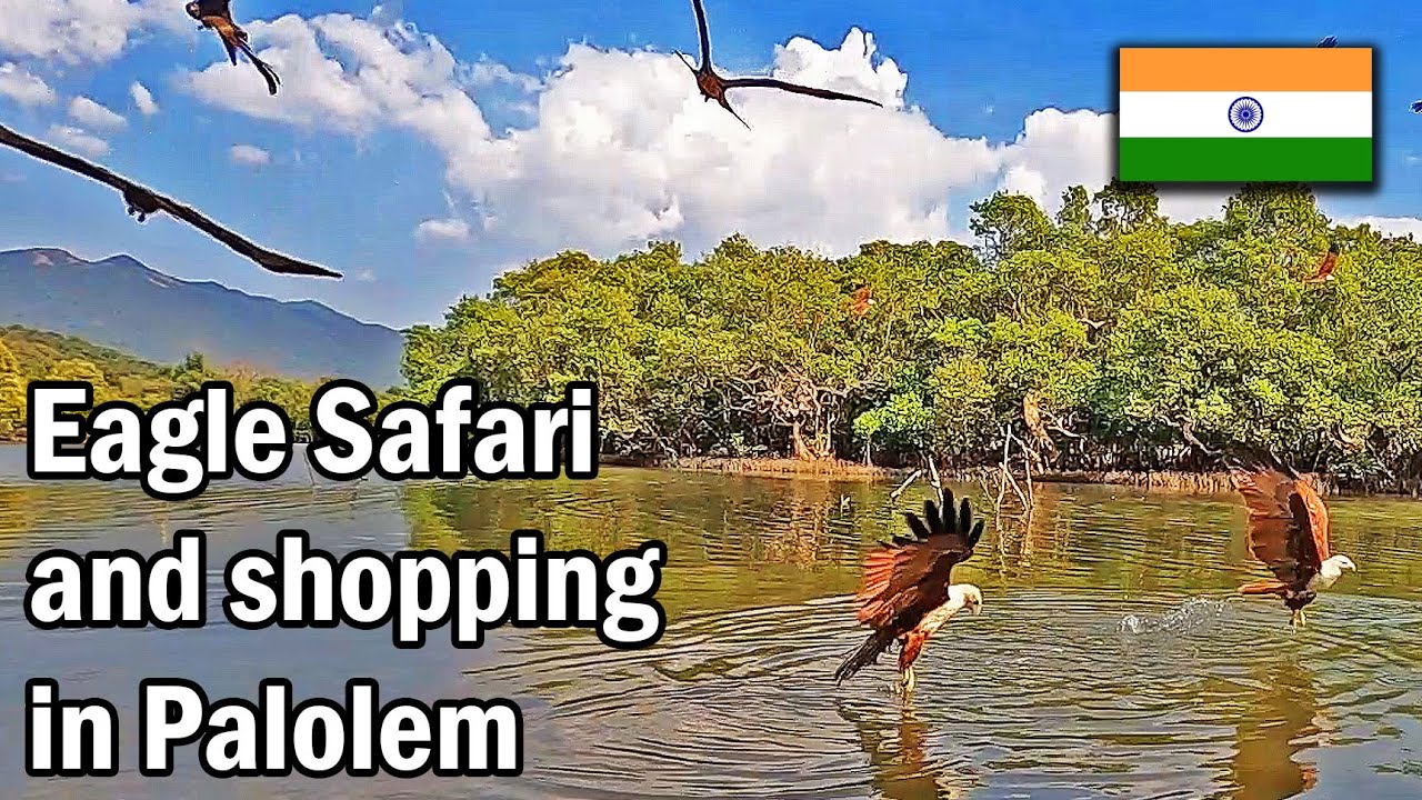Palolem Eagle Safari and buying beer at night
