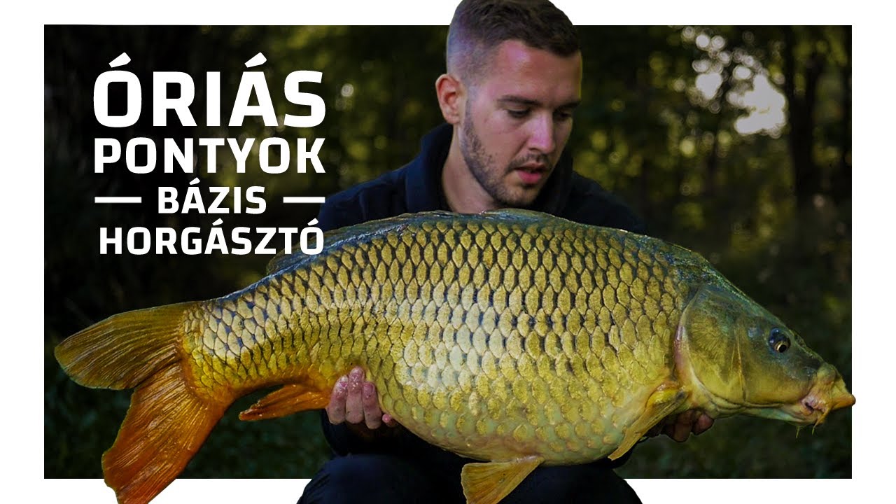 &Oacute;RI&Aacute;S PONTYOK | B&aacute;zis Horg&aacute;szt&oacute; | B&V Fishing