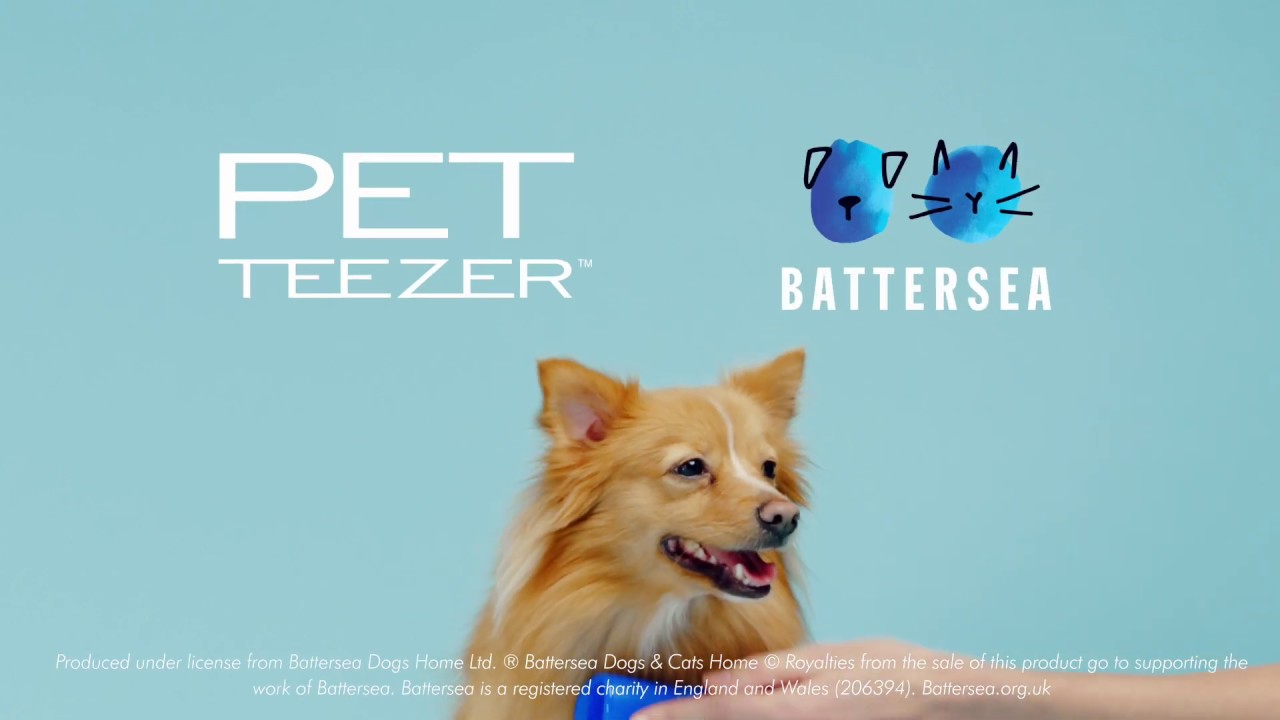 How to deshed your small dog with Pet Teezer