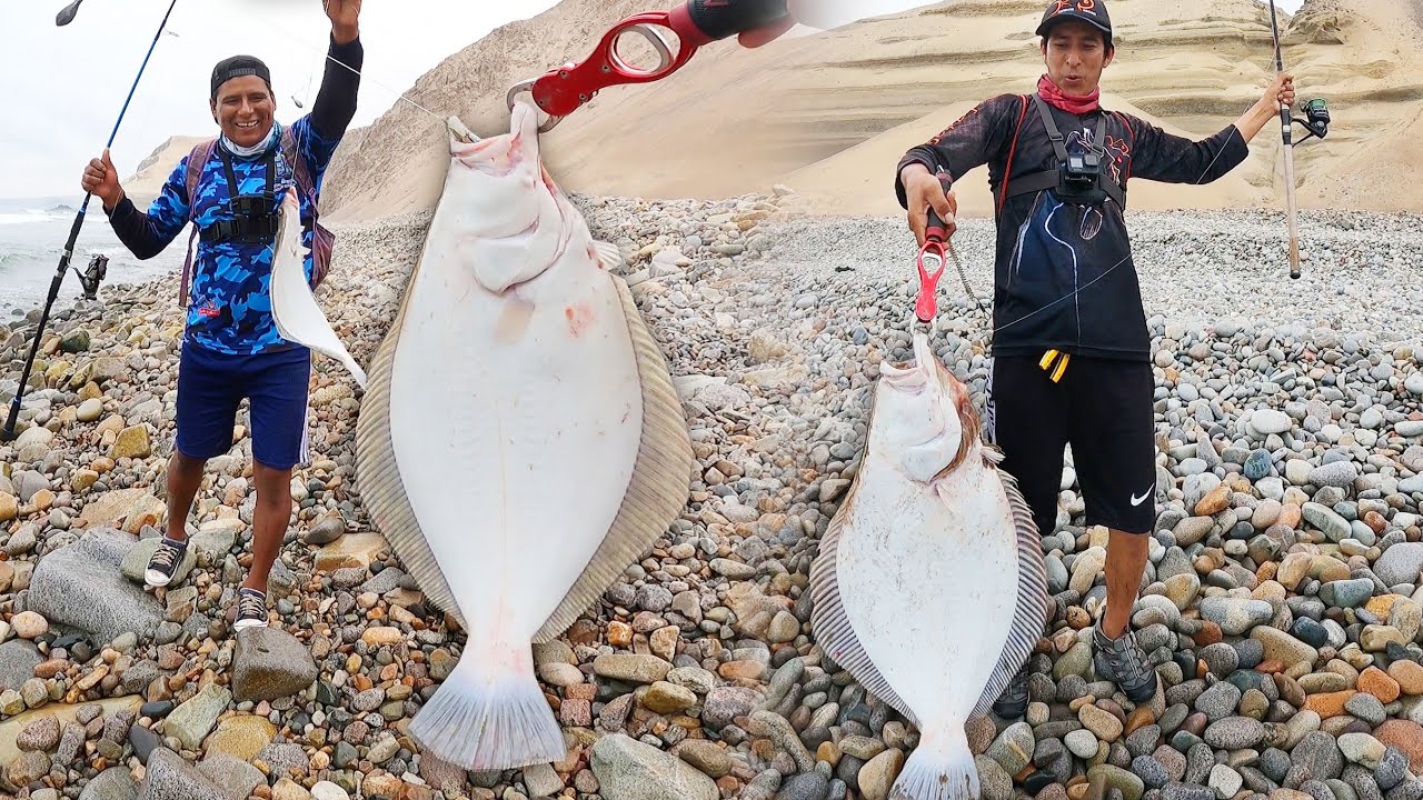 LENGUADO de 6 kg y bastantes capturas con pejerrey y señuelo