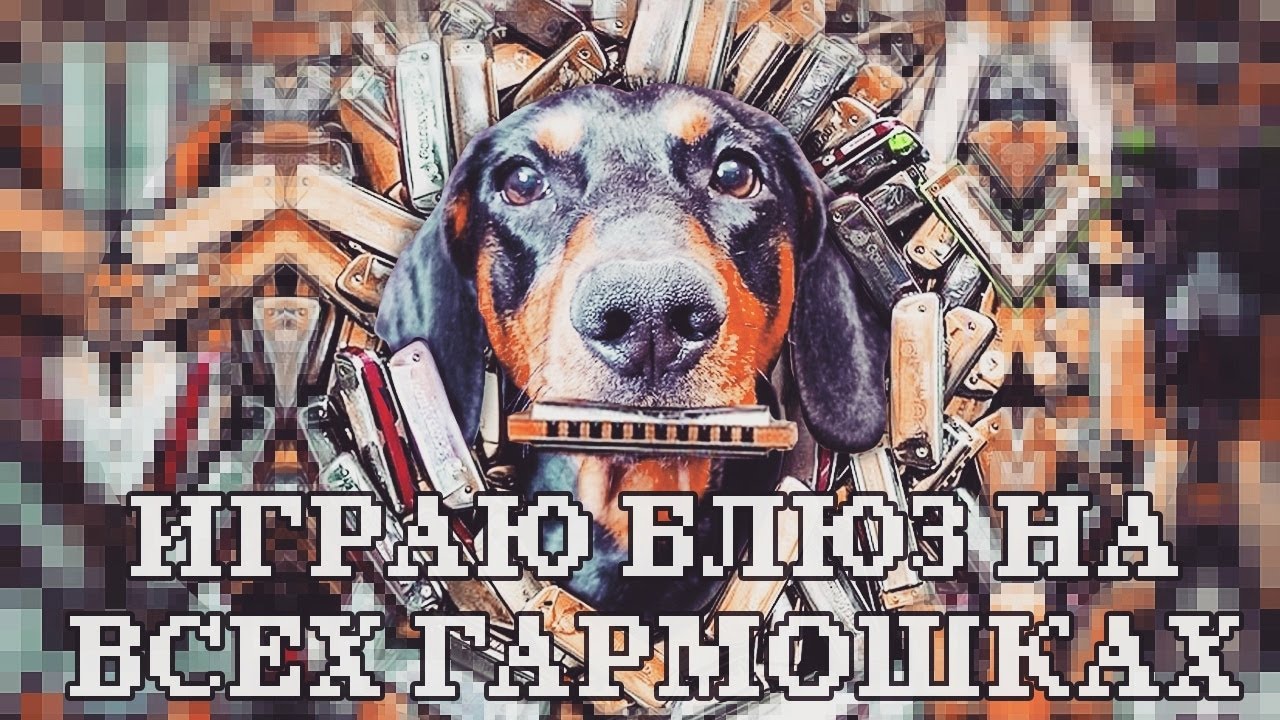 Играю блюз на 17 губных гармошках | Playing blues on the 17 harmonica (ENG sub)