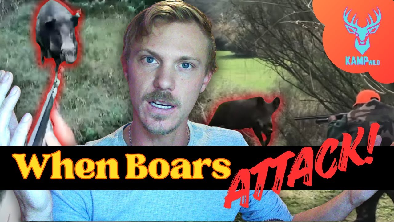 When Boars ATTACK!  |  Top 10 Boar Hunts Gone Wrong  |  KAMPwild Reacts