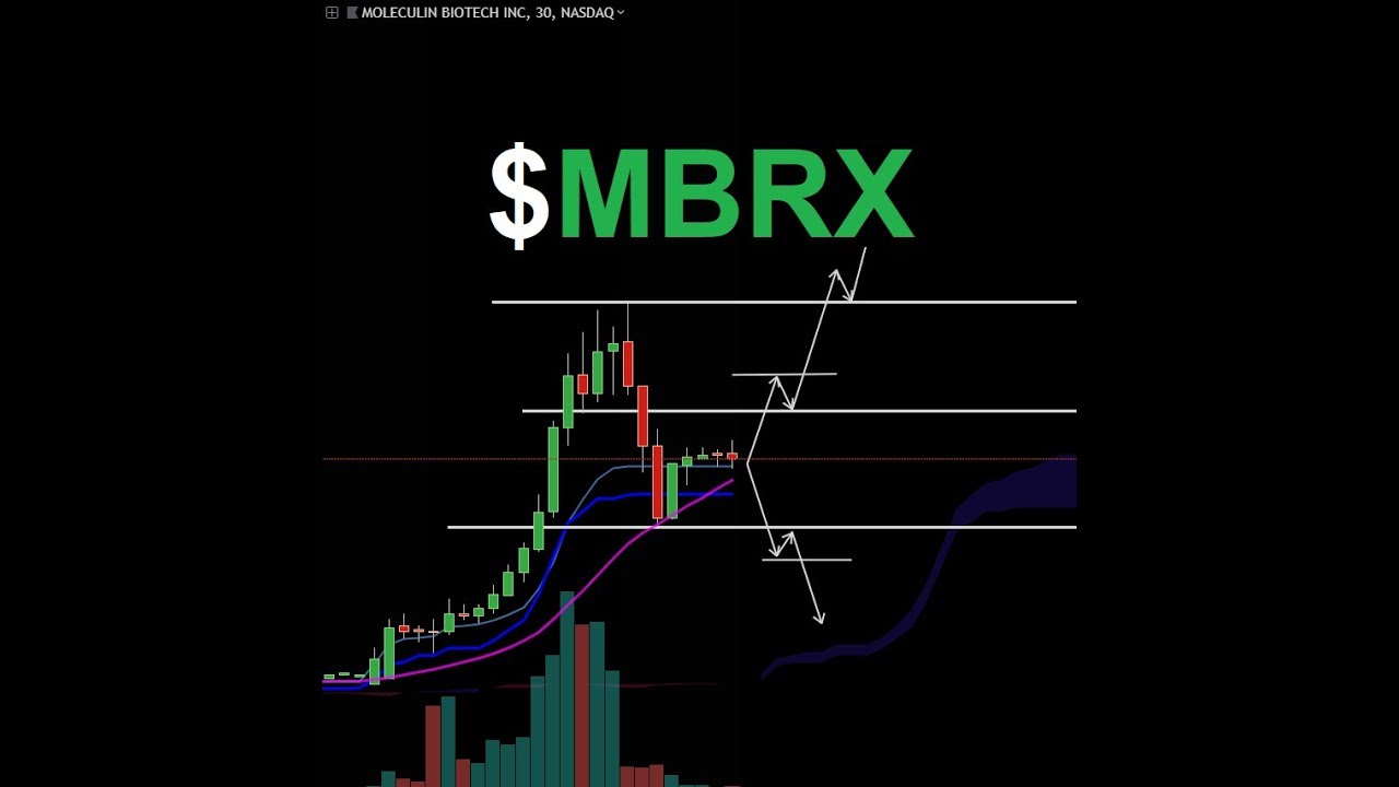 Stock Recap $MBRX
