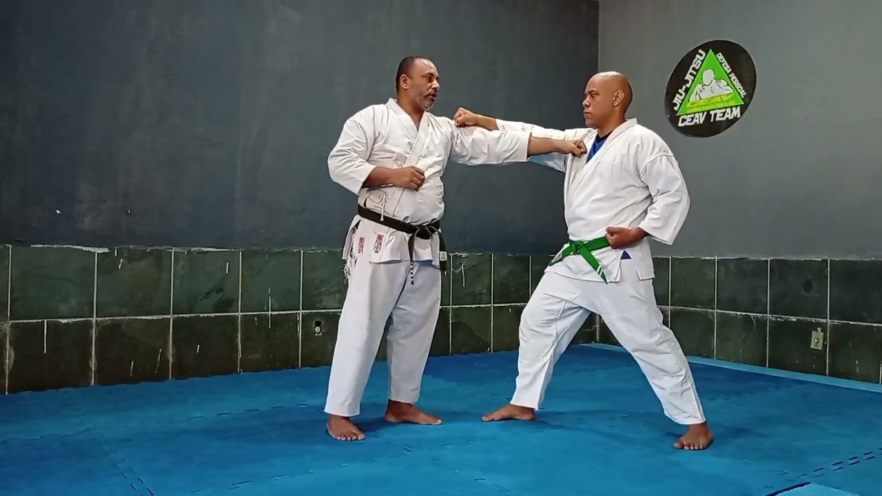Parte final do bunkai do HEIAN NIDAN.