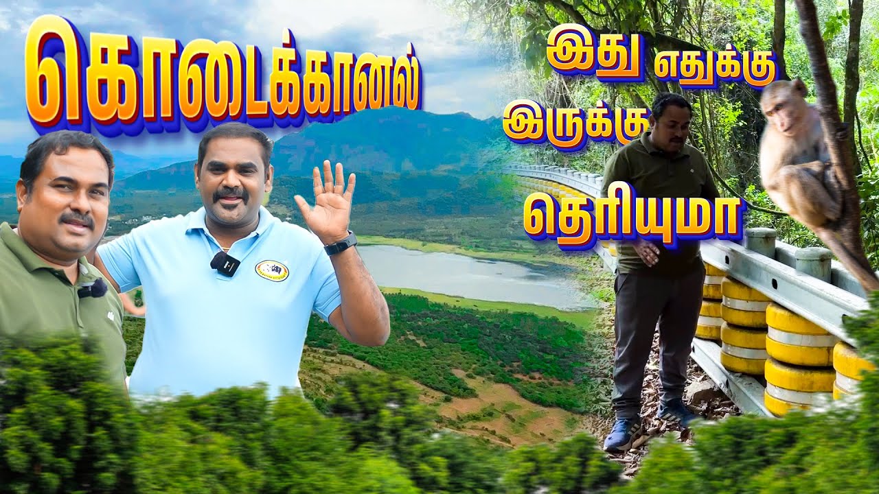 ஏங்க கொடைக்கானல் வாங்க! | WFT Vlog