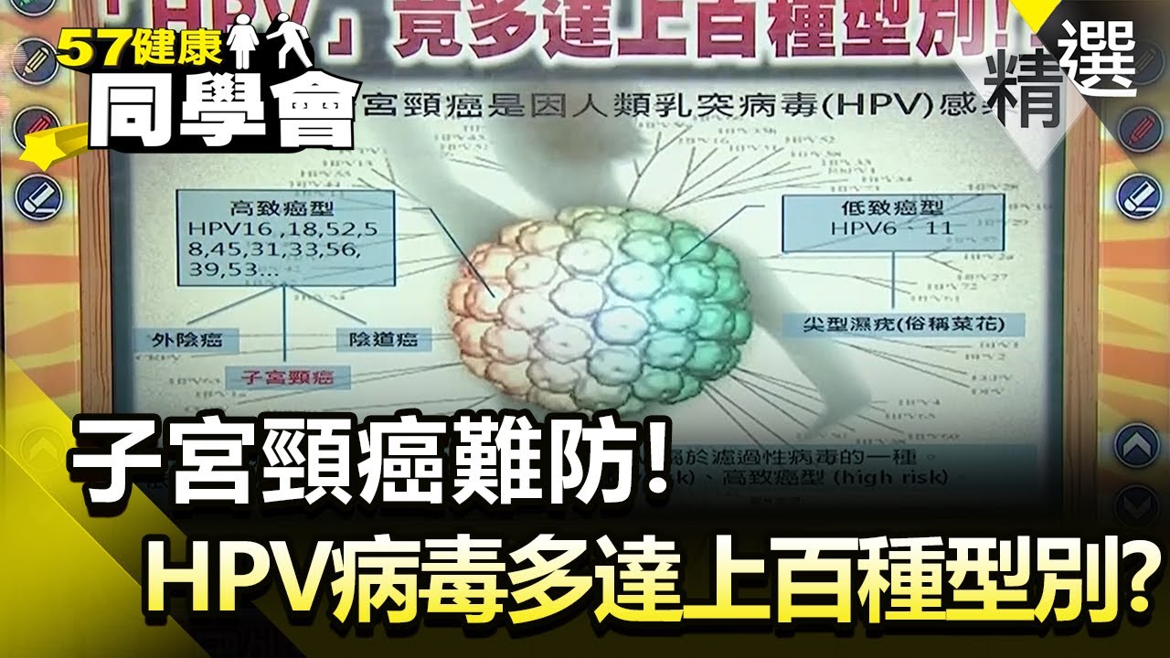 子宮頸癌難防！HPV病毒竟有多達上百種型別？【健康同學會】精華篇｜隋安德 許晶晶