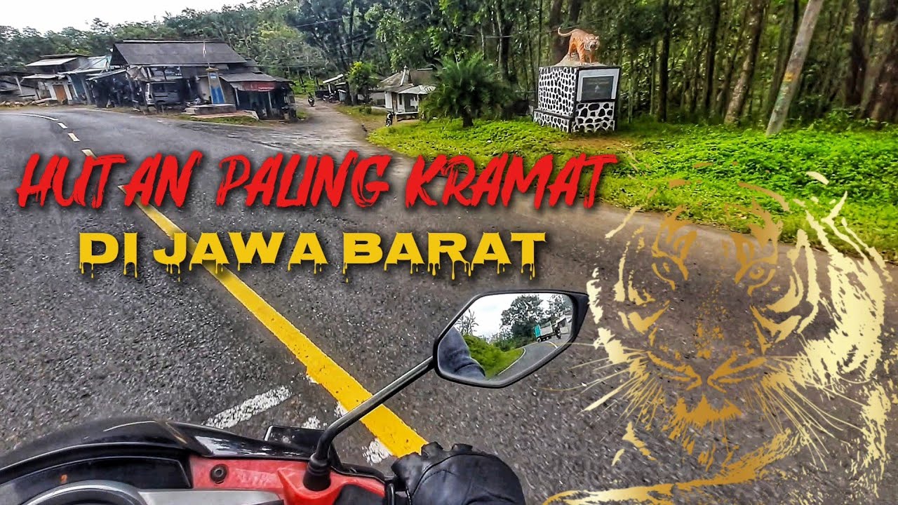 TAK DISANGKA 😱 Ada Pantai Indah di Balik ANGKERNYA HUTAN SANCANG‼️Touring Bandung - Sancang Part 4