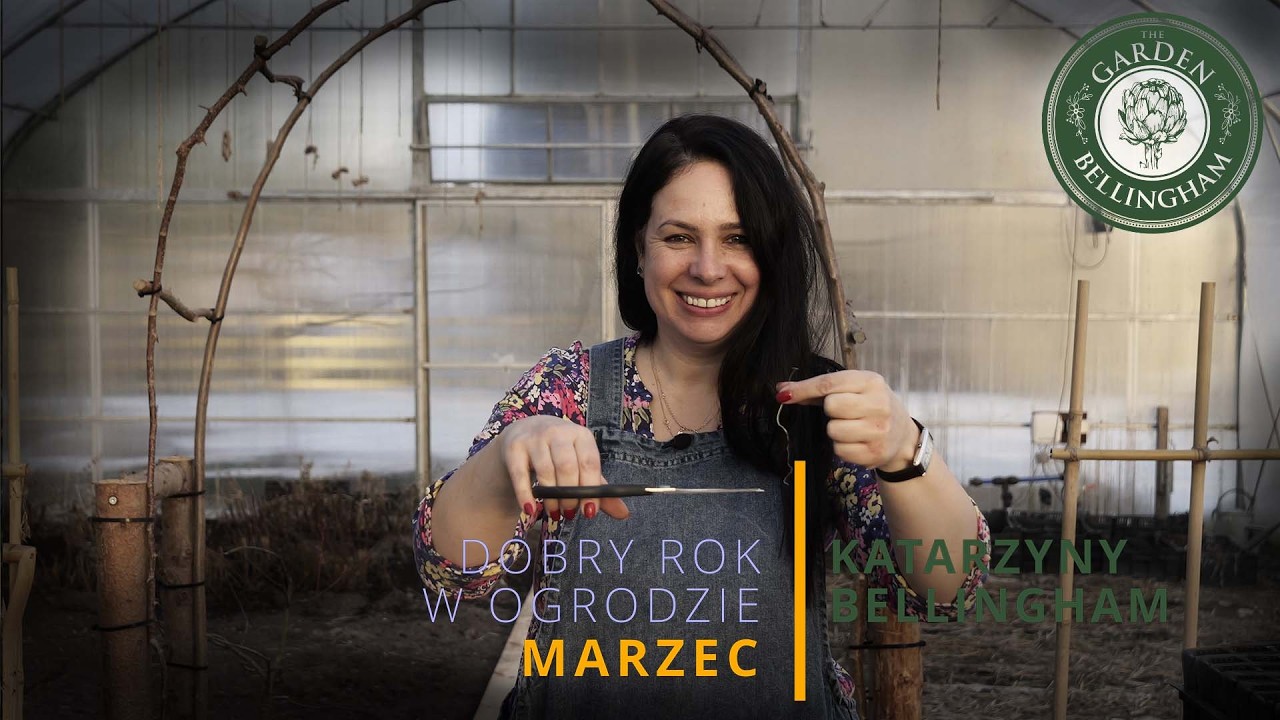 Podcinam korzenie przy pikowaniu cebuli i porów 🌱 wysiewam groszek pachnący i dekoruję dom narcyzami
