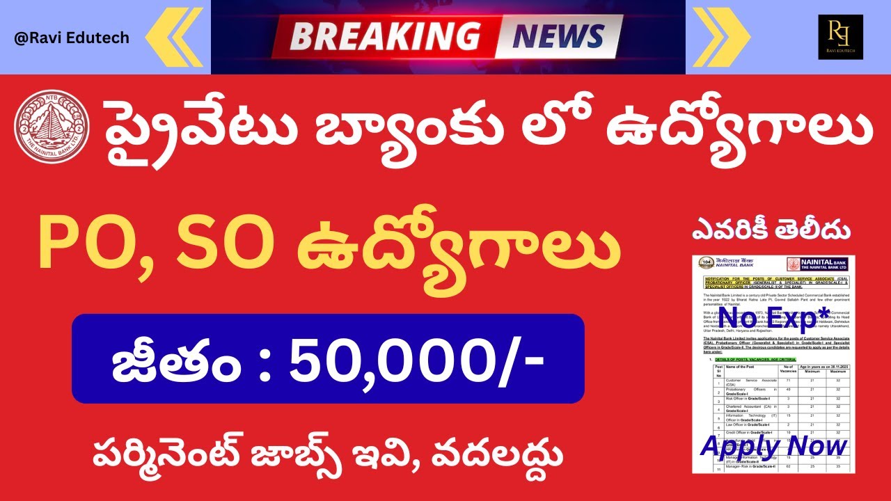 Private Bank Jobs | Nainital Bank Notification 2025 | PO, SO & CSA Recruitment Telugu | Apply Now