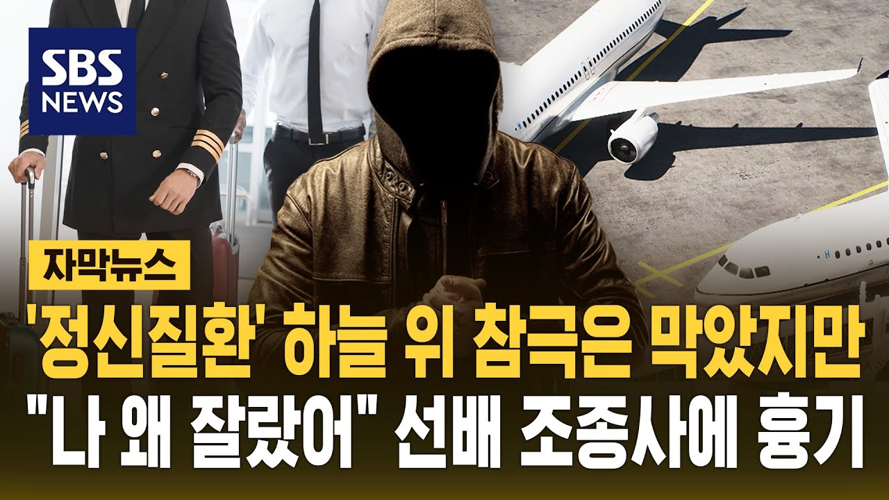 '정신질환으로 퇴사' 하늘 위 참극은 막았지만…선배 조종사에 흉기 휘두른 부기장 (자막뉴스) / SBS