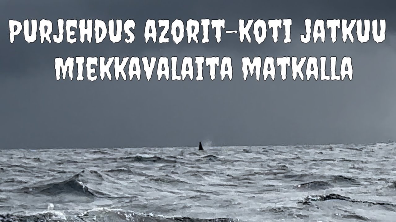 Purjehdus Azorit-? Miekkavalaita nähtiin, laiskottelua ja höpinää! Päivät 2-4
