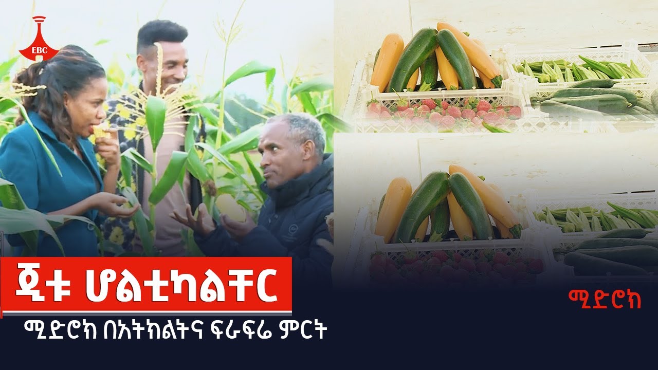 ሚድሮክ | ጂቱ ሆልቲካልቸር | ሚድሮክ በአትክልትና ፍራፍሬ ምርት | የሚድሮክ ኢንቨስትመንት ግሩፕ - ምዕራፍ 2 ክፍል 10 Etv | Ethiopia | News