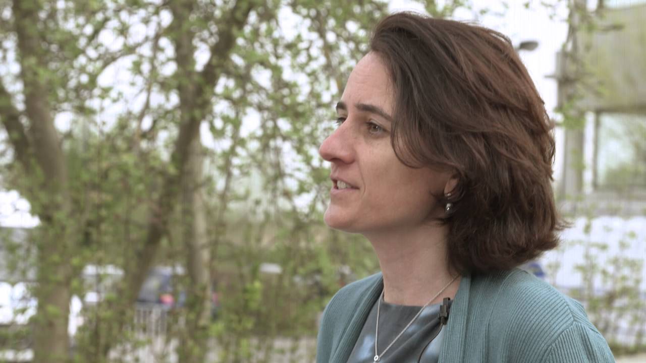 Prof. EvelyneTerryn
