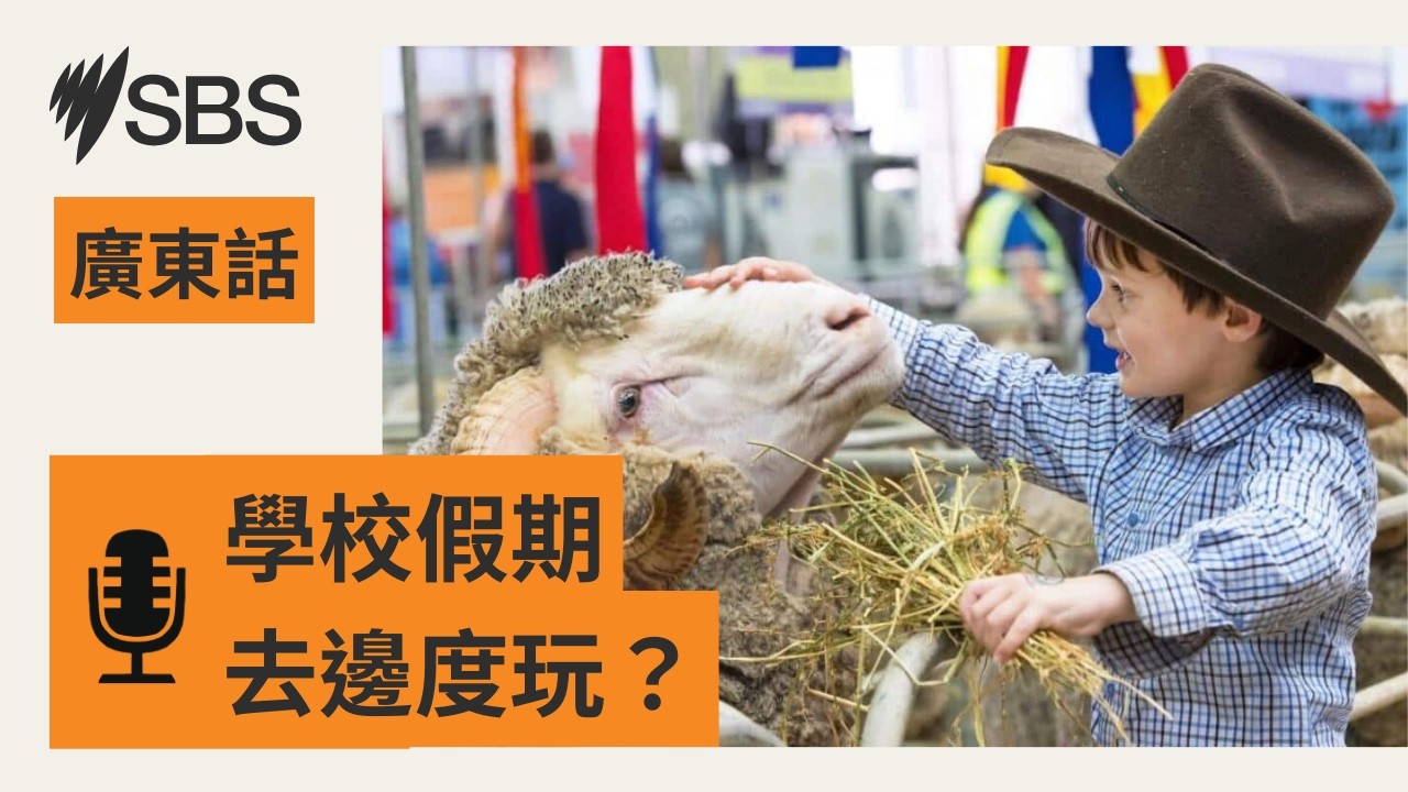 【學校假期旅遊住宿太貴？】新州一日遊推介 | SBS Cantonese - SBS廣東話節目