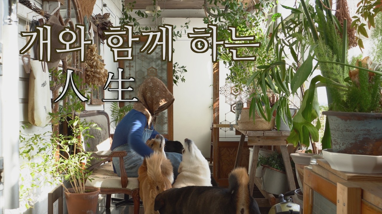 그리움에 관하여 , 나의이야기 (15번째 기록)