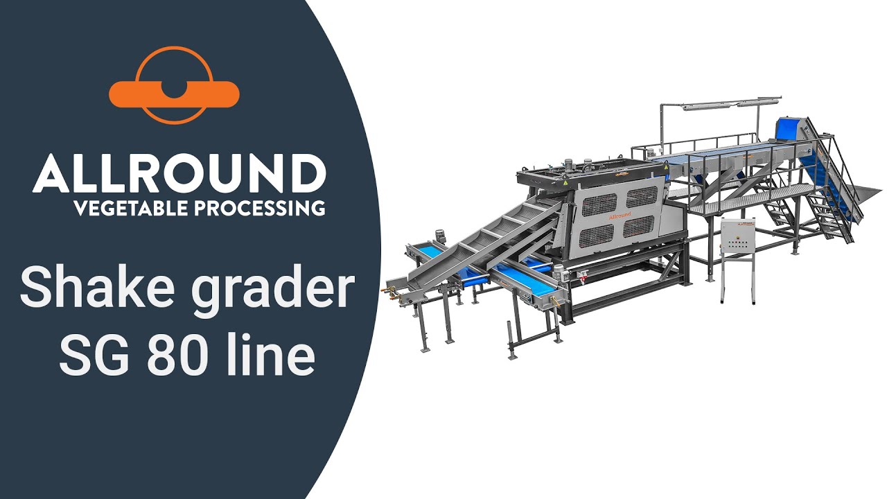 Shake grading line SG 80 with weighing & packing | BIG | Allround Vegetable Processing