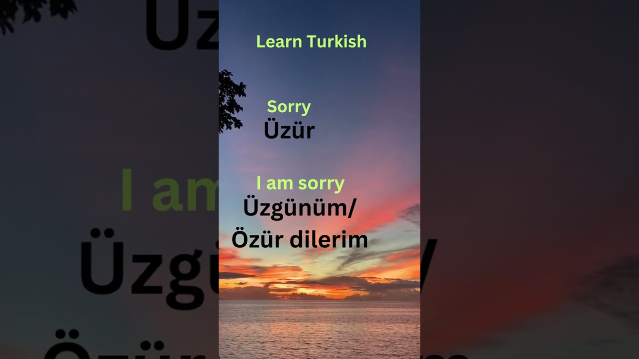 10 Turkish words🔥#shorts #youtubeshorts #turkish