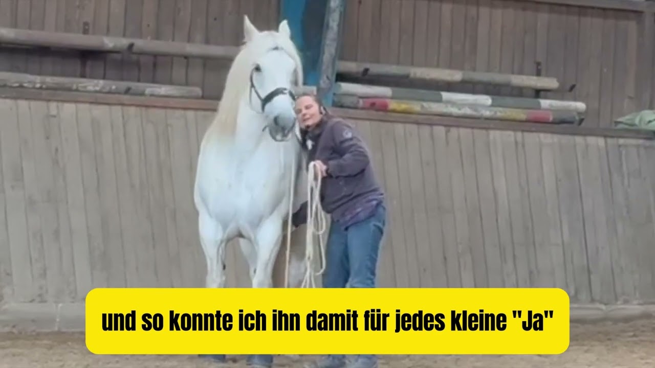 ✨ Ein Happy End mit Folgen | 😢 Wallach Gromir möchte keinen Schritt vorwärts gehen - oder doch?
