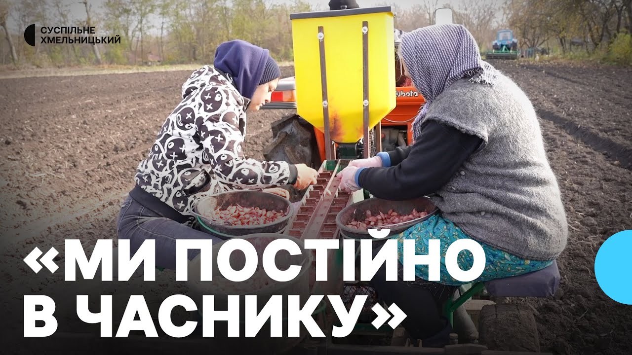Хобі, яке переросло у справу життя: жителька Хмельниччини вирощує гектари часнику