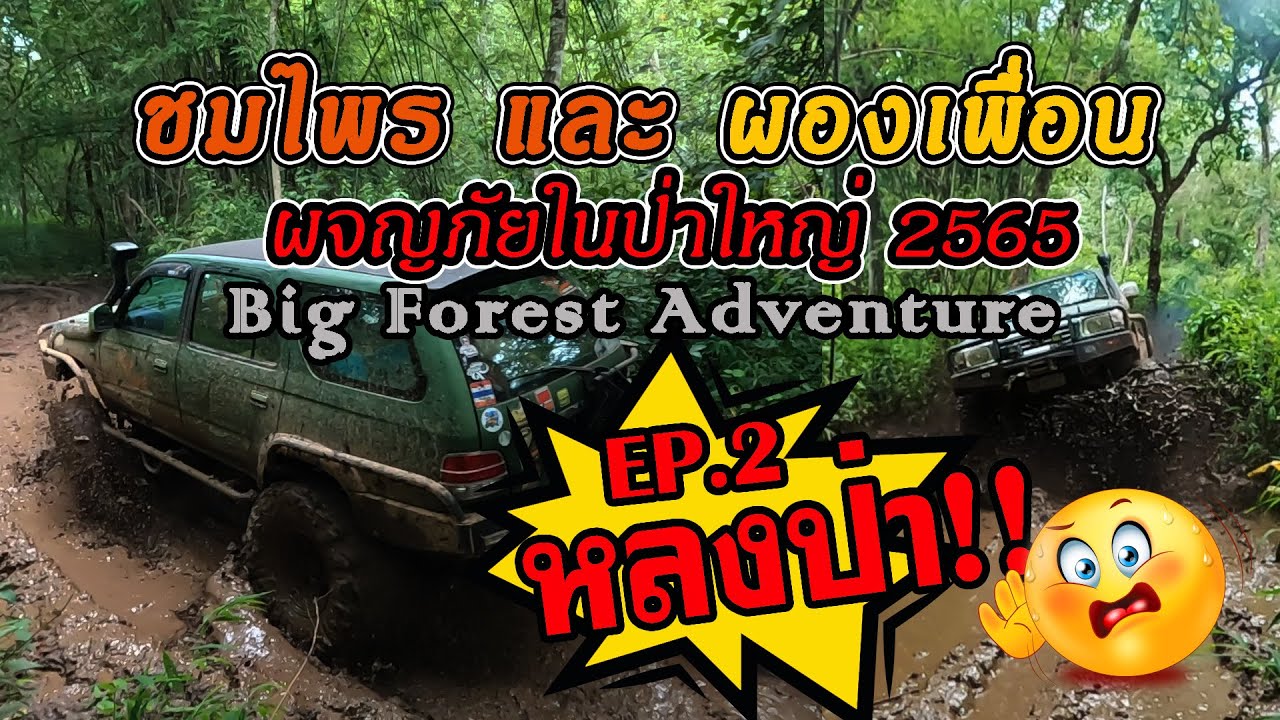 ทริปป่าใหญ่2565|ชมไพรและผองเพื่อนผจญภัยในป่าใหญ่|BigForestAdventure EP.2หลงป่า|4x4 off road Thailand