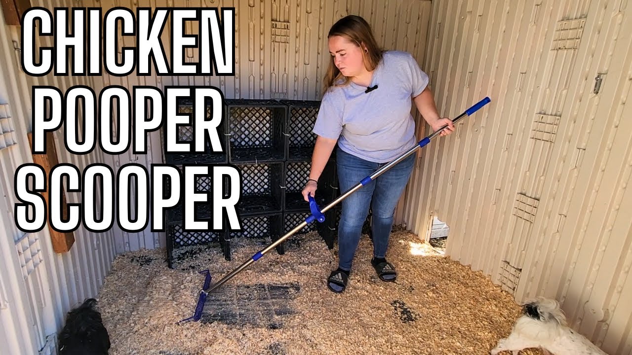 Adjustable pooper scooper for small farm animals