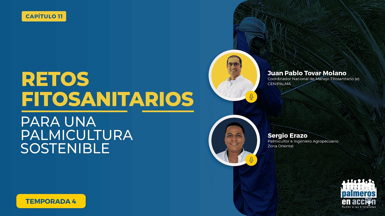 Retos fitosanitarios para una palmicultura sostenible | CENIPALMA