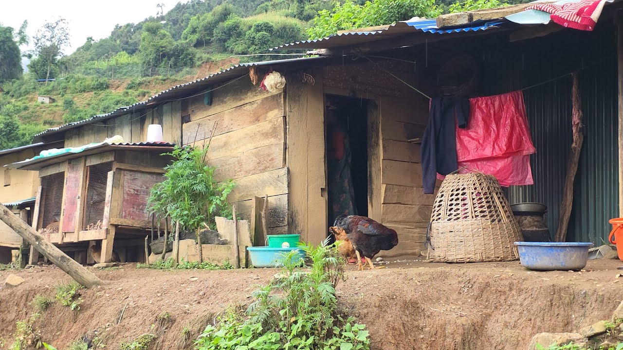 Nepal village life documentary || Thevillagenepal 