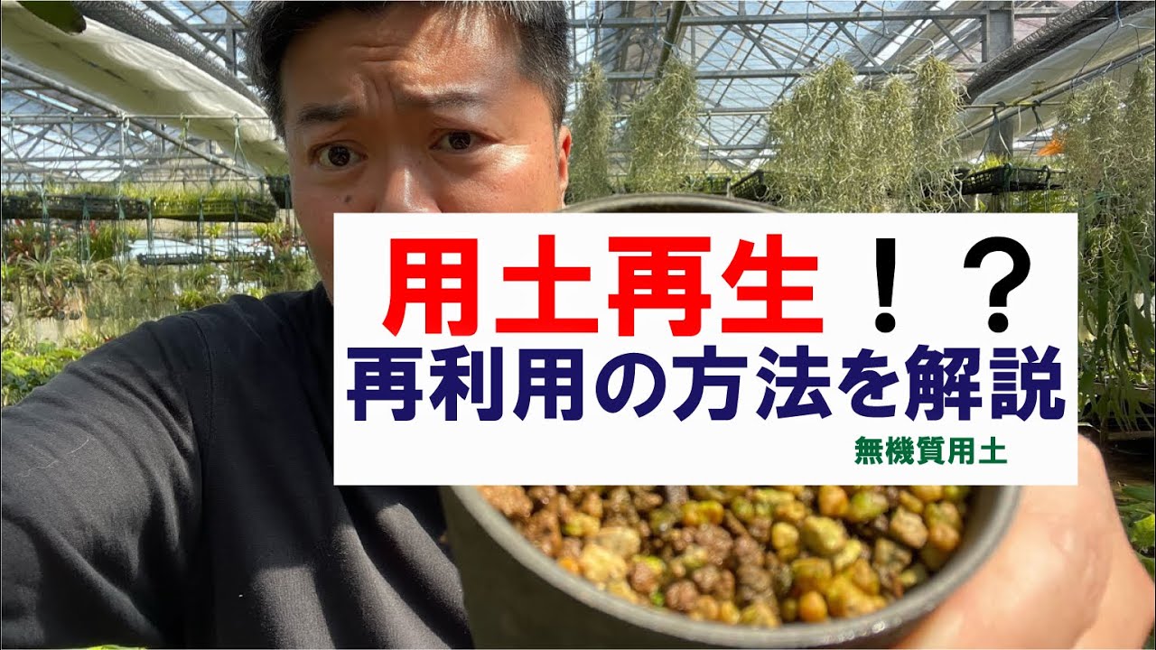 【用土再生】はできる⁉️用土の再利用と注意点を解説