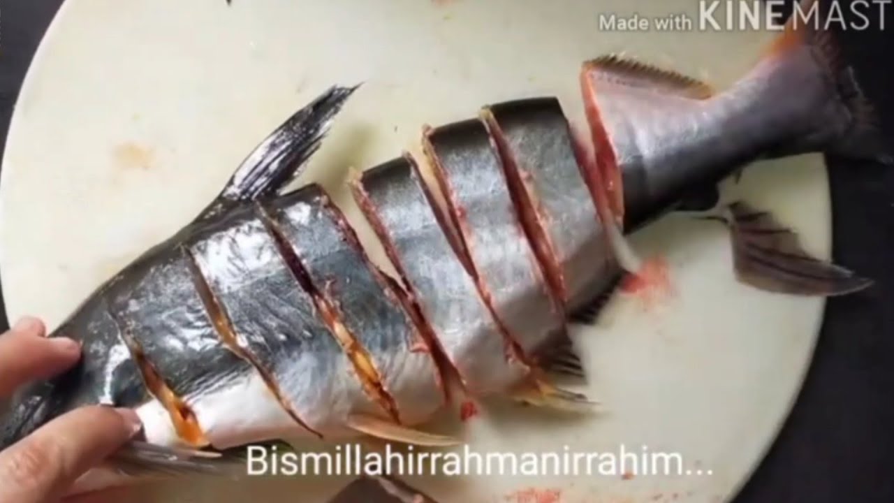 TIPS SIANG DAN POTONG IKAN PATIN MUDAH JE #moktihchannel